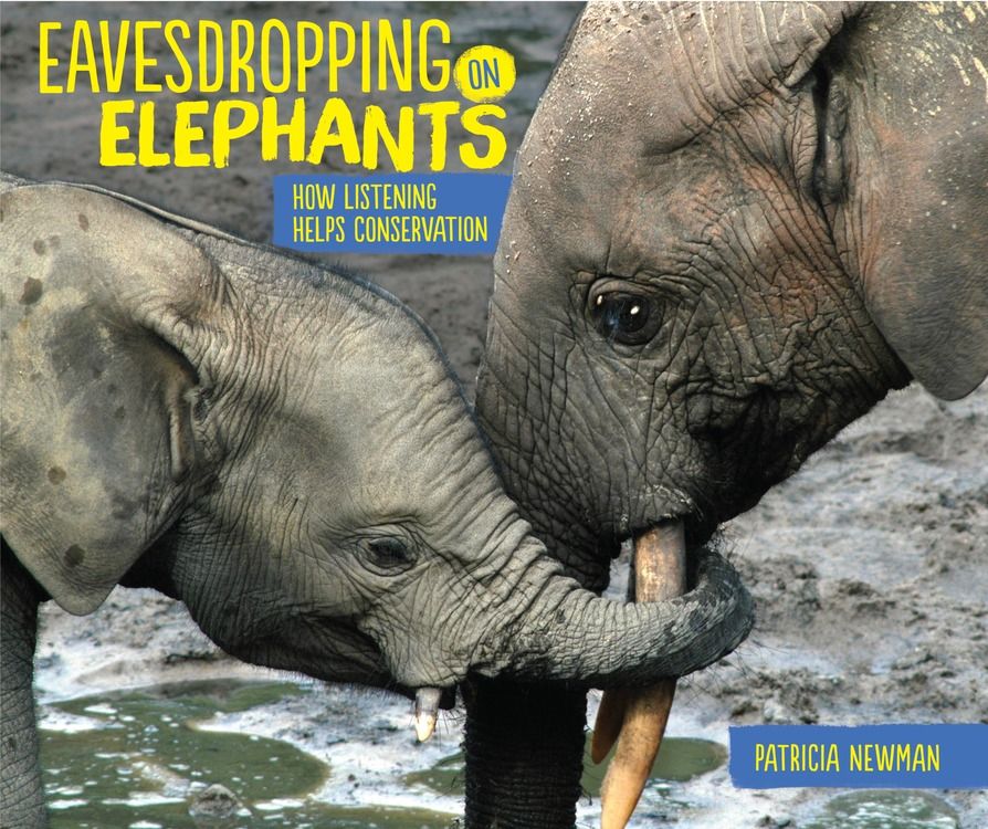 EAVESDROPPING ON ELEPHANTS