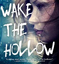 WAKE THE HOLLOW